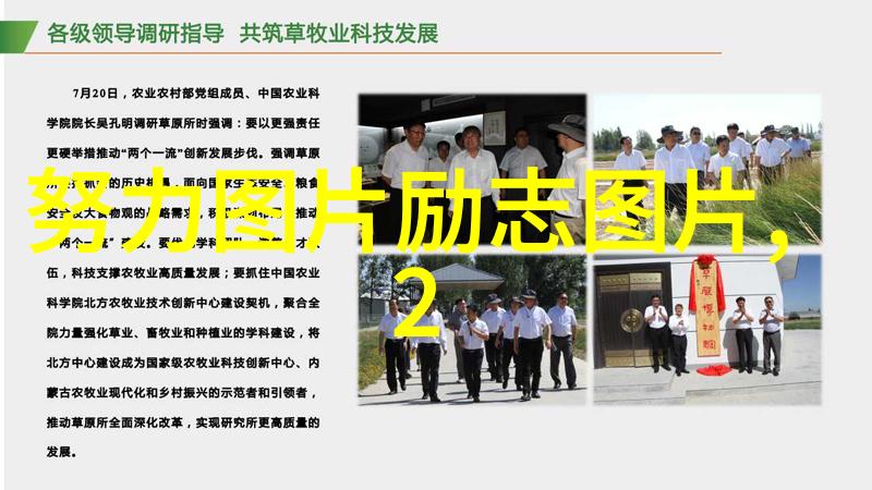 沉淀与悠然绿茶经典语录中的智慧