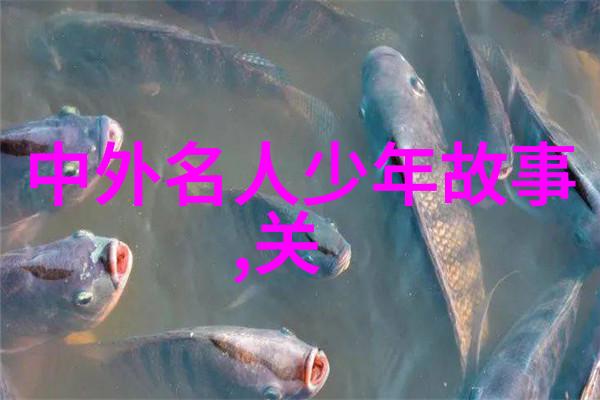 现代名人励志故事简短丁磊的第一桶金创业之旅