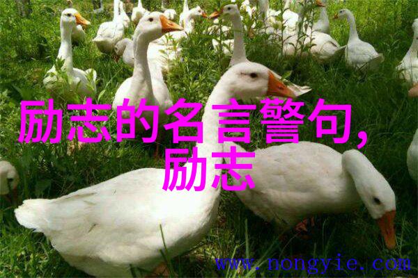 情绪失控人格扭曲如同锈蚀的工具家暴男的四个显著特征锋利而致命