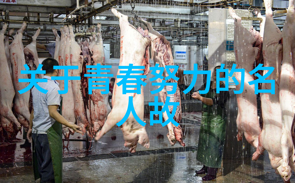 教育先锋在教室外展现爱心与智慧的人物事迹
