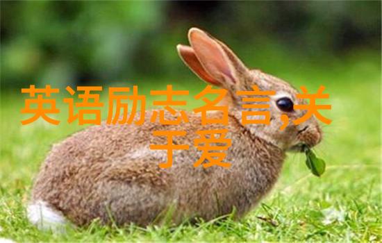值得大学生崇拜的偶像 - 李雷从清贫到硕士的不懈追求