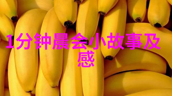 孙中山中国近代民主革命的领导者