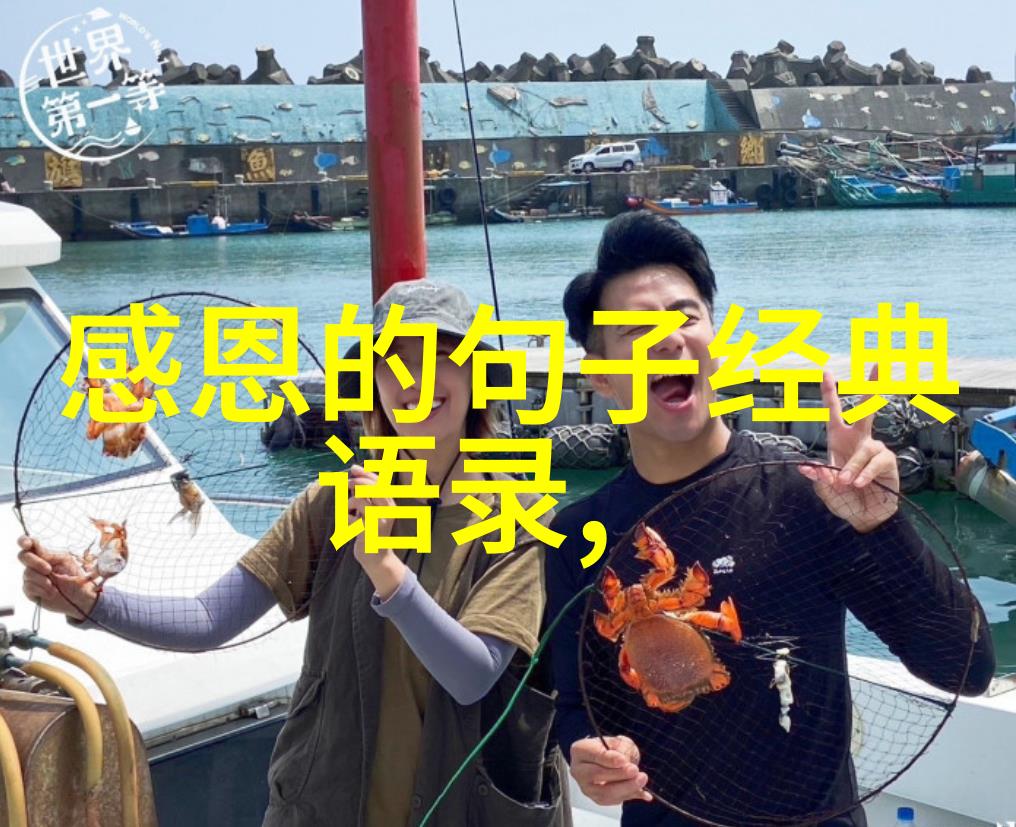 从你的全世界路过经典语录-穿越时光的温柔回声