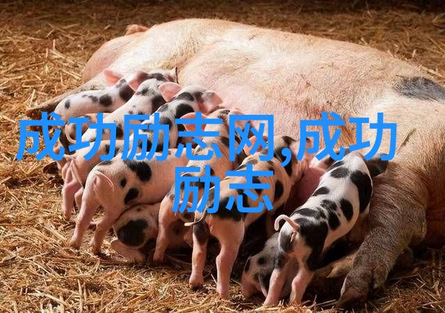 在社会中女人要在婆家保持强势才能找到合适的伴侣