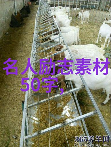 逆袭的传奇揭秘体育界最励志的人