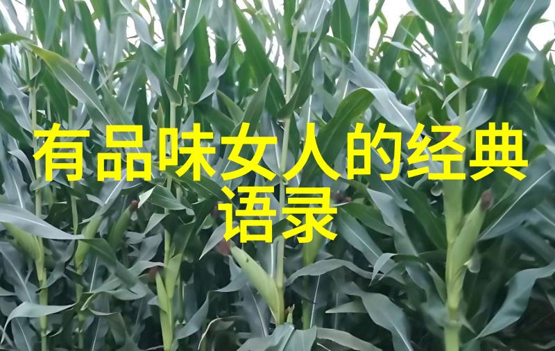 夫妻冷暴力揭秘伤害背后及时干预的关键