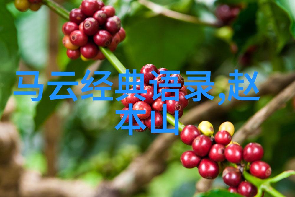 道韵长空古籁流转