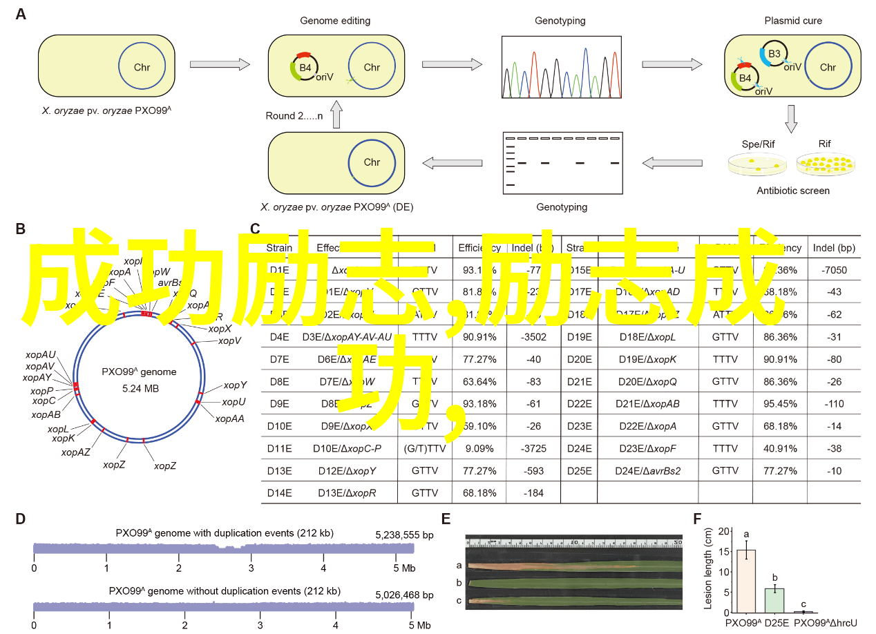 不用钱的生活韩寒对话