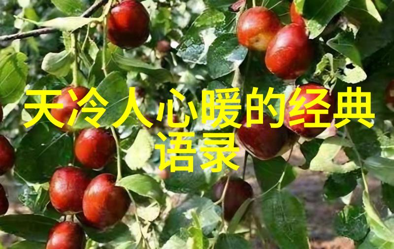 俞敏洪做成事情的4大能力成为偶像值得崇拜的正能量例子