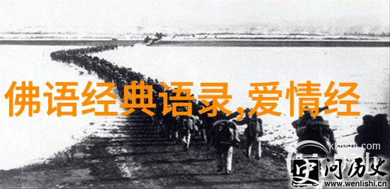 逆袭传奇从底层到顶峰的一路风雨