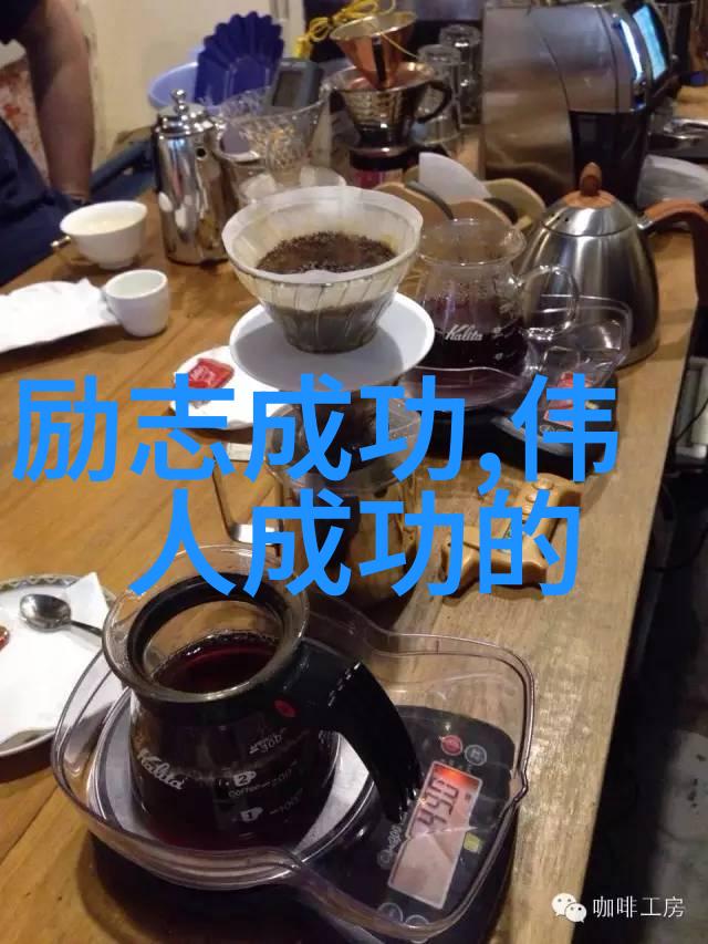 除了个人成就她还做出了哪些贡献给社会