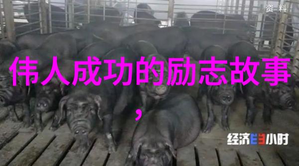 学海无涯梦想为舟高考励志的智慧篇