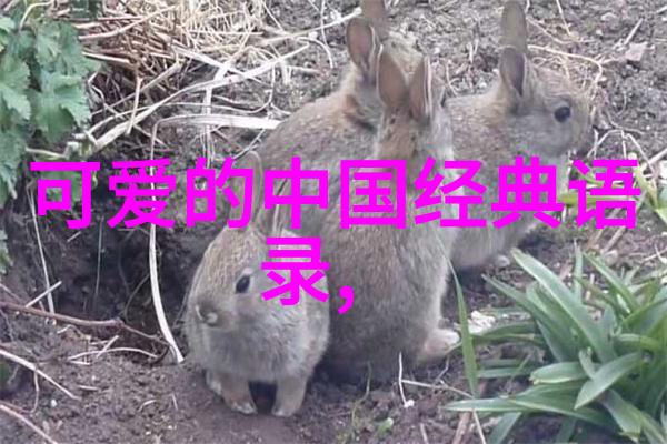 爷爷的红烧蹄髈友情的诗句