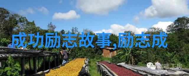 高中生素材积累之旅从零到英雄的写作征程