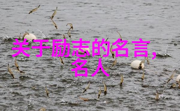 励志故事-史泰龙的逆袭之旅从街头混混到好莱坞巨星