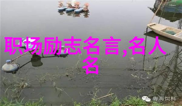 极品公子语录揭秘风度翩翩背后的智慧