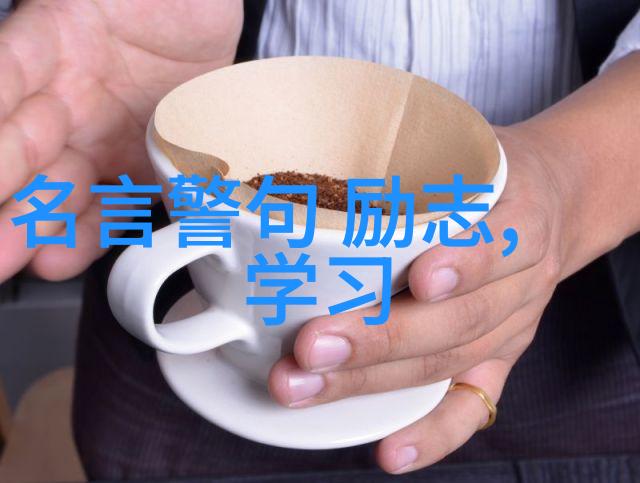 中国近代励志人物事迹铁肩担道义曹操的逆袭之路