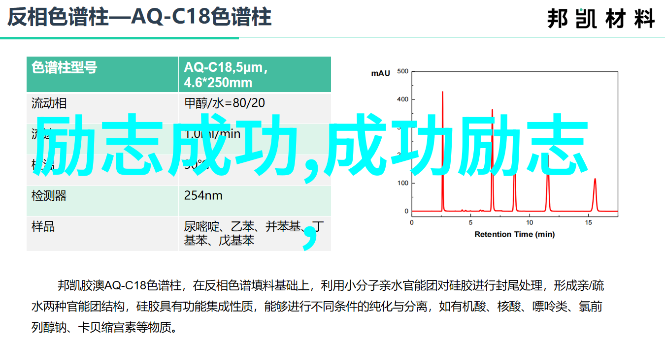 人物发展历程通过短小精悍的文本展现变化轨迹