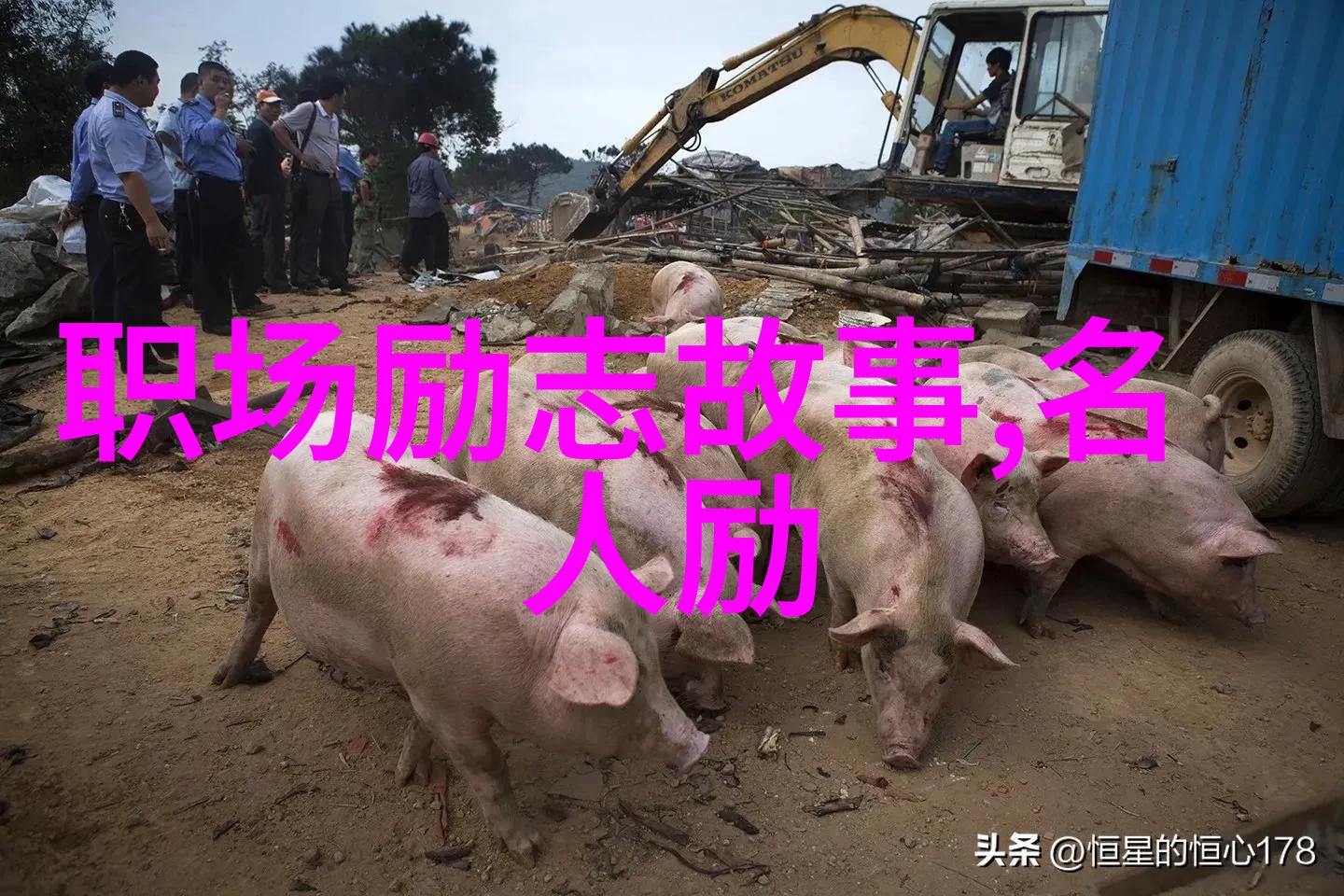 心灵激荡逆袭之路上的泪与光