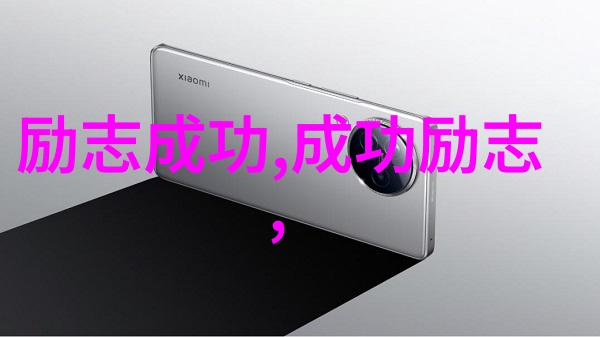 逆袭之星辰大海一位小男孩如何从街头角落到成为世界级篮球明星励志小故事