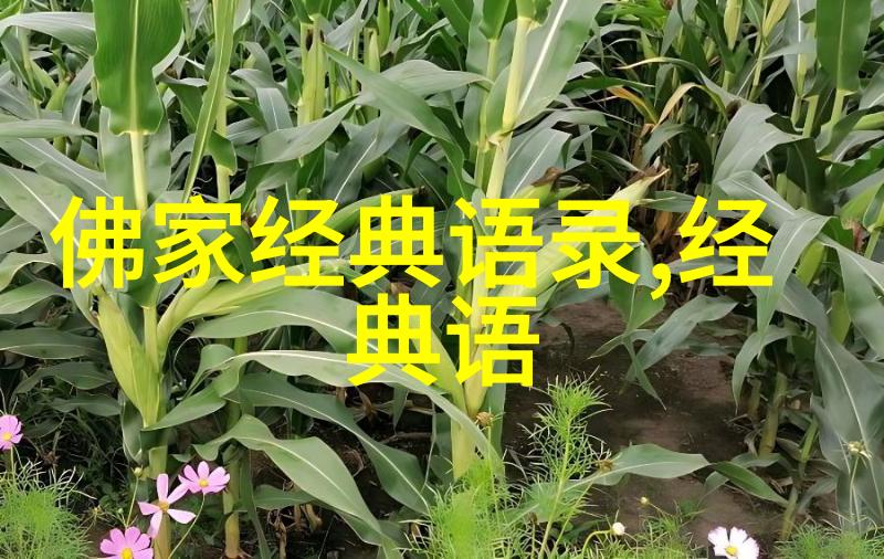 极致浪漫的爱情短句甜蜜绽放的爱意