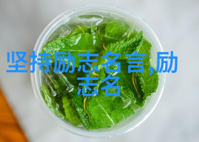 涂磊经典语录-追梦者李明用涂磊的智慧绘就人生蓝图