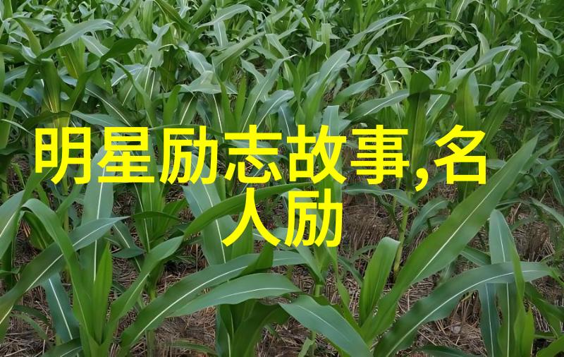 每人C我半小时-时间的交换探索半小时同行者的价值