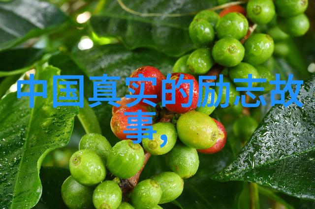 激情永燃奋斗不止的力量之歌