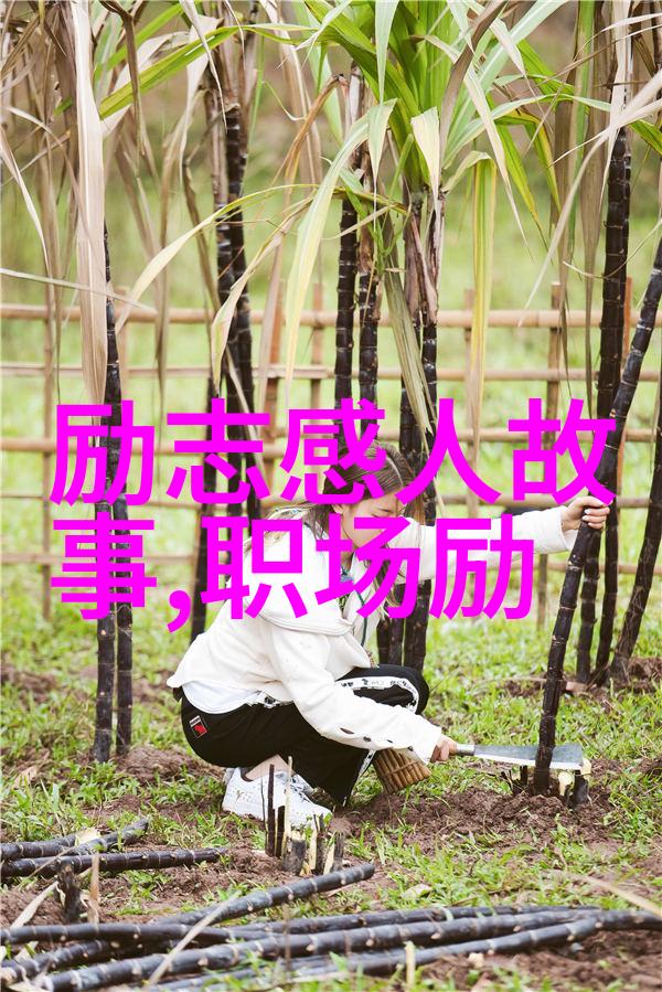 逆袭灵感库从低谷到巅峰的激励金句集