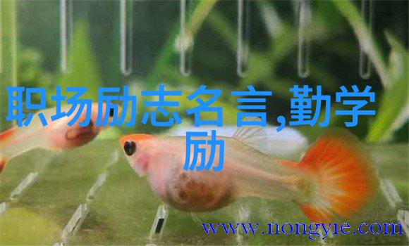 超越障碍激励人心一位残疾人的逆袭之旅