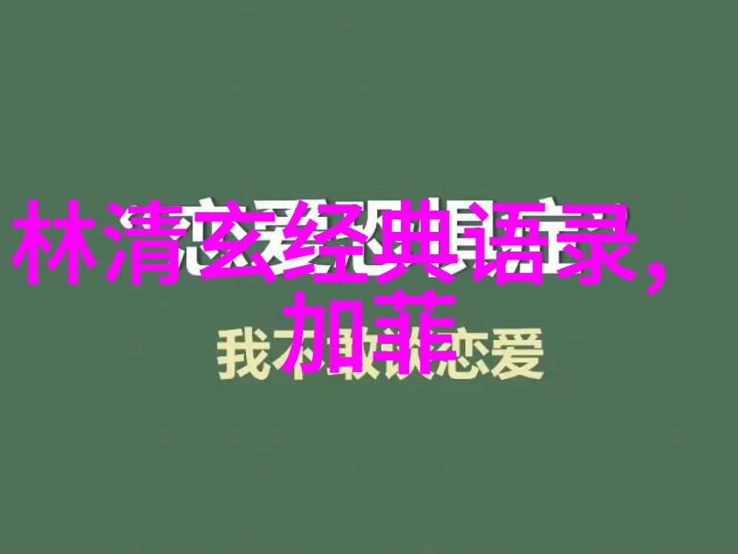 追星者之梦为偶像不懈努力的名人故事