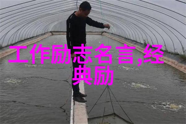 QQ人气精灵虚拟形象社交平台受欢迎角色