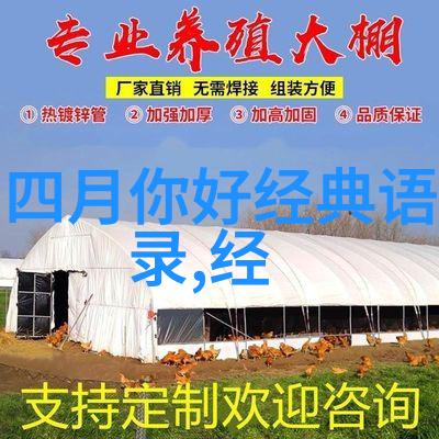 逆袭之路从网吧工作者到成功企业家的传奇