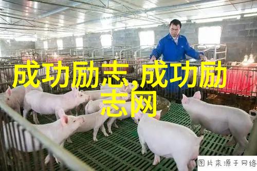 中国古代四大情圣的故事探寻爱情真正含义于物品间
