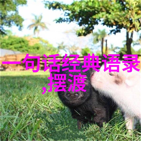 90后十大杰出青年事迹-逆袭之星90后十杰的成功故事