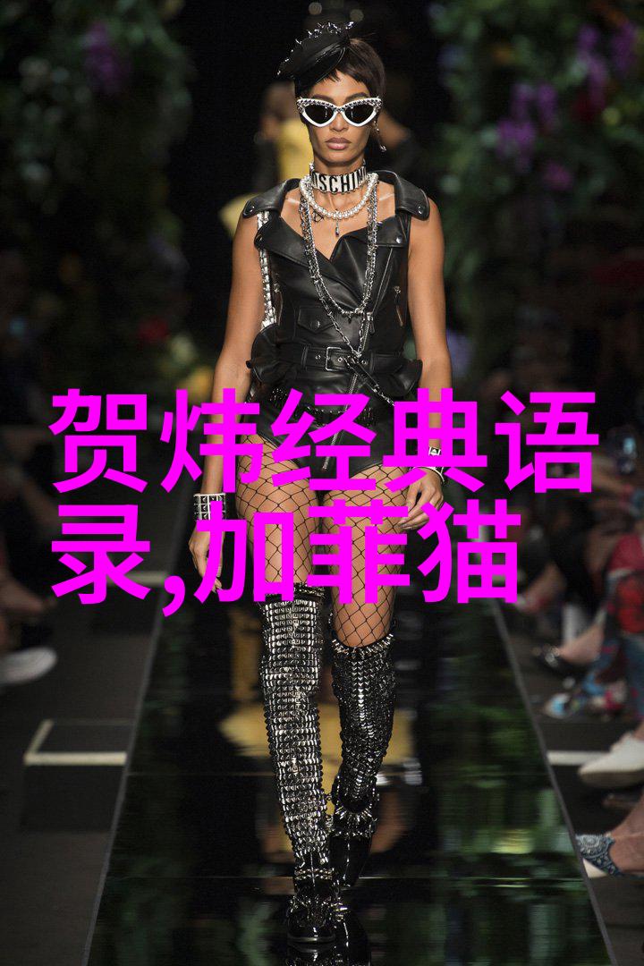 跨越语言的梦想英语励志名言启航成功之旅