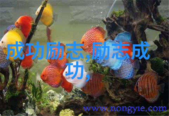 逆袭之星辰大海一代天骄的传奇归途