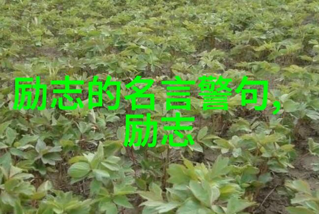是否存在一种跨越时空的共鸣让我们今天仍然能够在张爱玲的话里找到自己