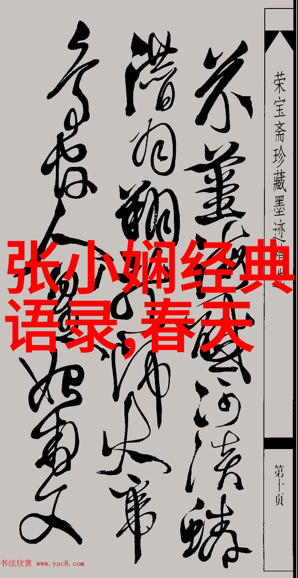 涂磊智慧启迪经典语录中的生活哲学