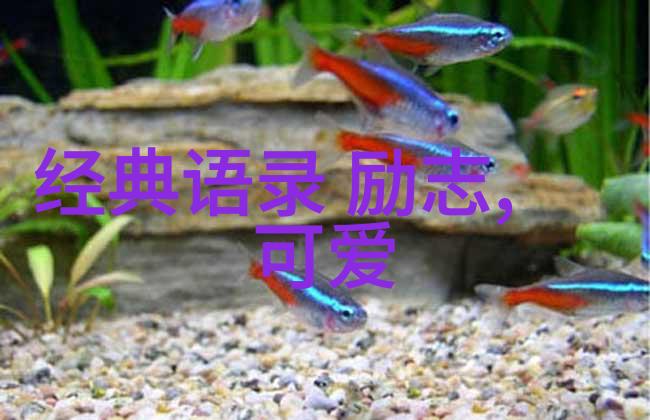 三嫁李郎我的婚姻奇遇记