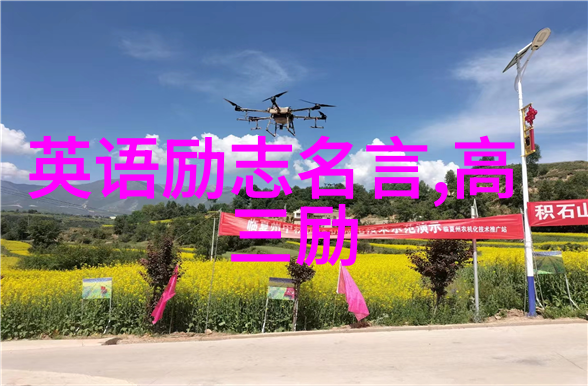 校园风情开襟女生共享双人运动的快乐时光