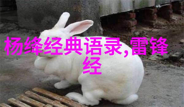 激发潜能30分钟成就梦想
