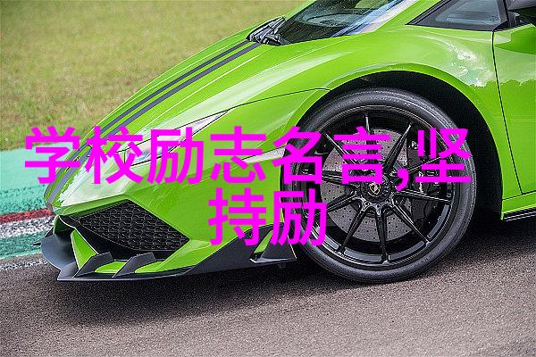成功人士背后的坚持与毅力有哪些共同点