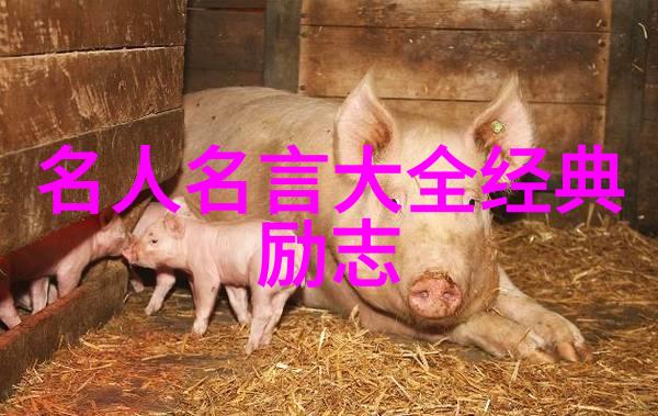 人生的成功案例在人生励志视频中的表现形式有哪些变化趋势呢