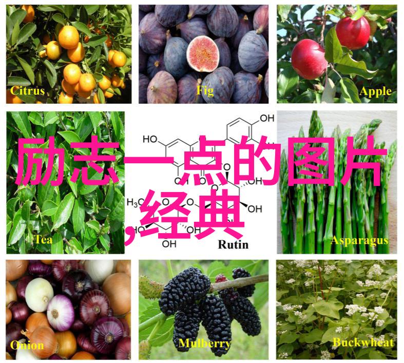 适合学生的偶像名人 - 李雷的梦想之旅从书桌到舞台