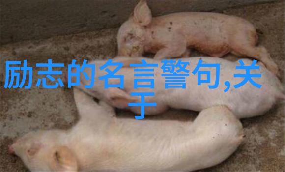 中国情谊这一概念在选择这些人的过程中所起到的作用