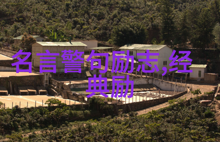 职场励志故事我是如何从一个普通的助理成长为公司核心成员的