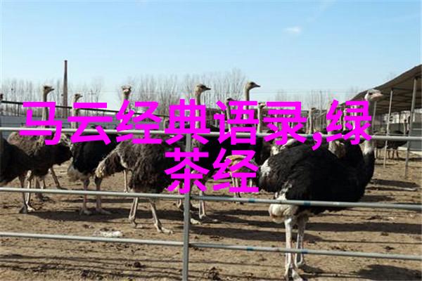 偶像的正能量他们是如何用笑容和勇气打败黑暗的