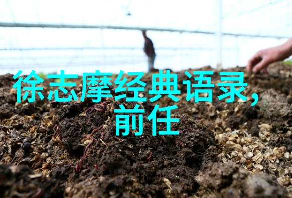 人生偶像背后的故事值得我们学习什么