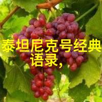 孙中山的三毛经典语录革命先锋的幽默智慧